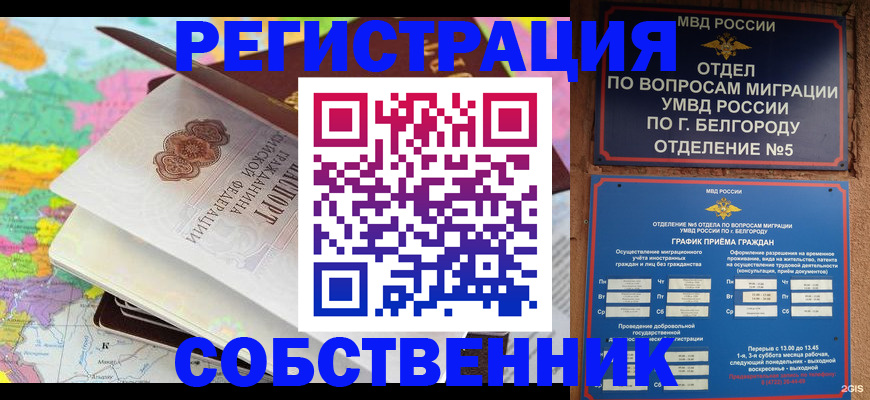 временная регистрация гарантия в Майкопе